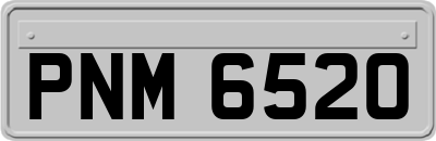 PNM6520