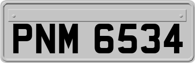 PNM6534