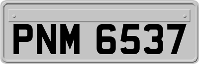 PNM6537