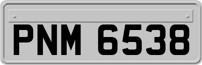 PNM6538
