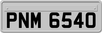 PNM6540