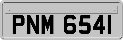 PNM6541