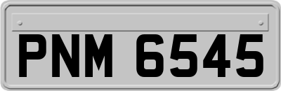 PNM6545