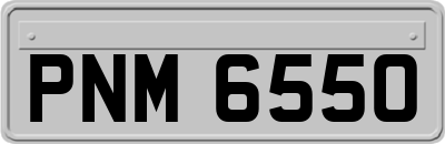 PNM6550