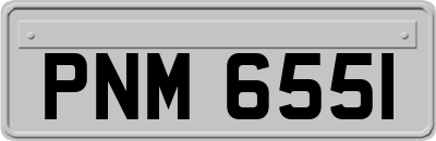 PNM6551
