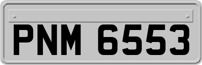 PNM6553