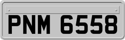 PNM6558