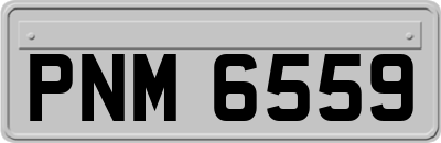 PNM6559