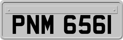 PNM6561