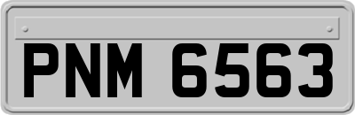 PNM6563
