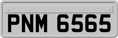PNM6565