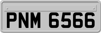 PNM6566