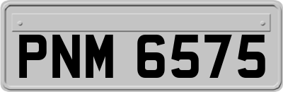 PNM6575