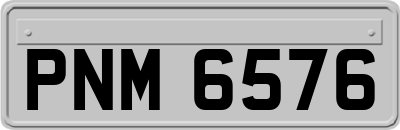 PNM6576