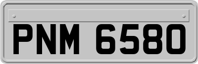 PNM6580