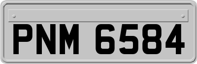 PNM6584