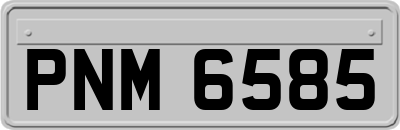 PNM6585