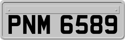 PNM6589