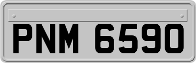 PNM6590