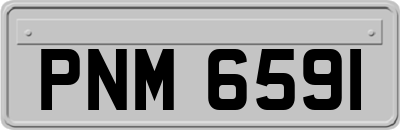 PNM6591
