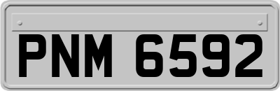 PNM6592