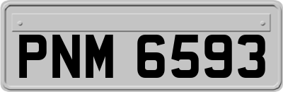 PNM6593