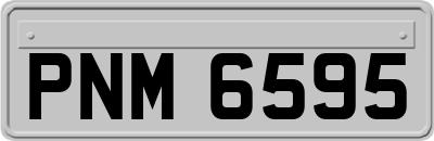PNM6595