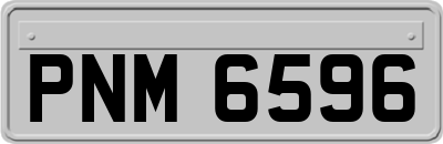 PNM6596