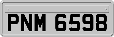 PNM6598