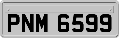 PNM6599