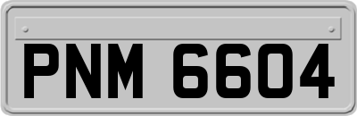 PNM6604