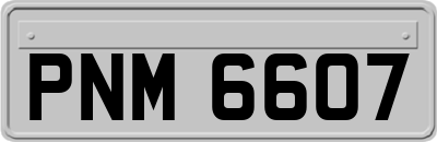 PNM6607