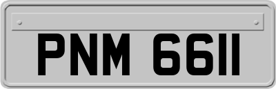PNM6611