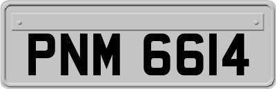 PNM6614