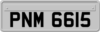 PNM6615