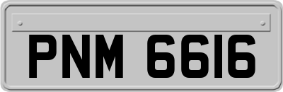 PNM6616