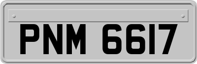 PNM6617
