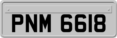 PNM6618