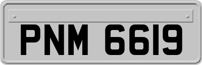 PNM6619