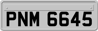 PNM6645