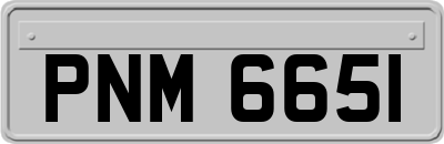 PNM6651