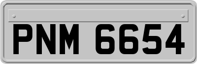 PNM6654