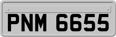 PNM6655