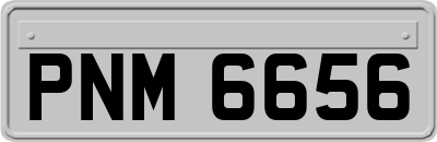 PNM6656