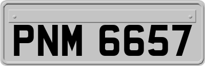 PNM6657