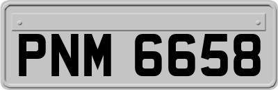 PNM6658