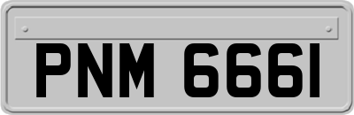 PNM6661