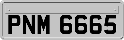 PNM6665