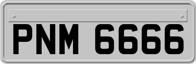 PNM6666