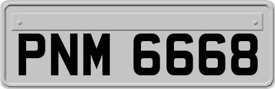 PNM6668